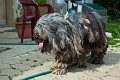 image_26__DSC0021